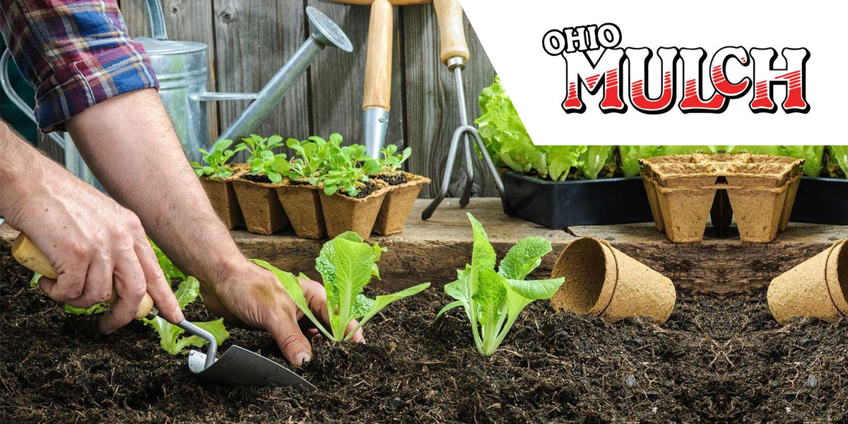 Unique customizations in the cloud dramatically improves business operations for Ohio landscape supplier